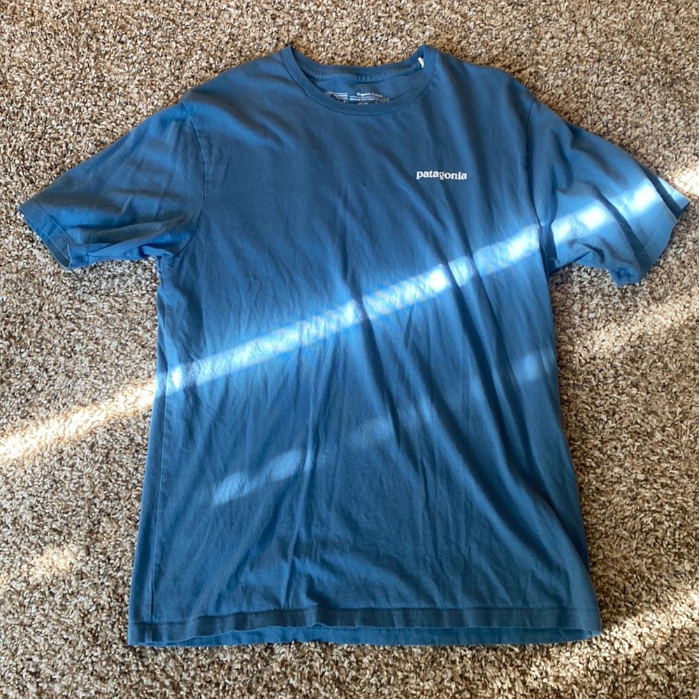 Patagonia short sleeve t-shirt